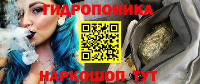 гидра Шахты