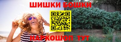 шишки Шелехов