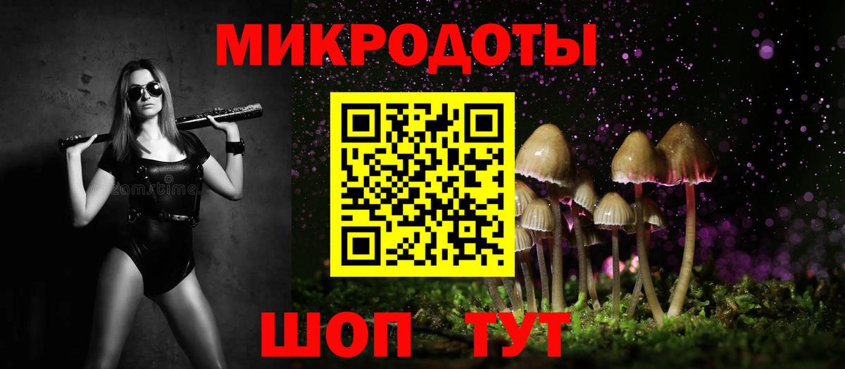 Псилоцибиновые грибы Psilocybine cubensis Ханты-Мансийск